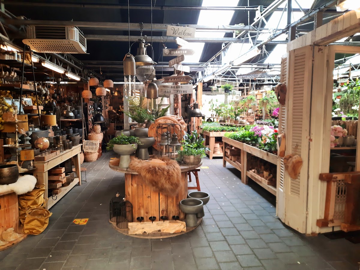 Foto van Hilbrands Bloemen & Wonen in Westerbork