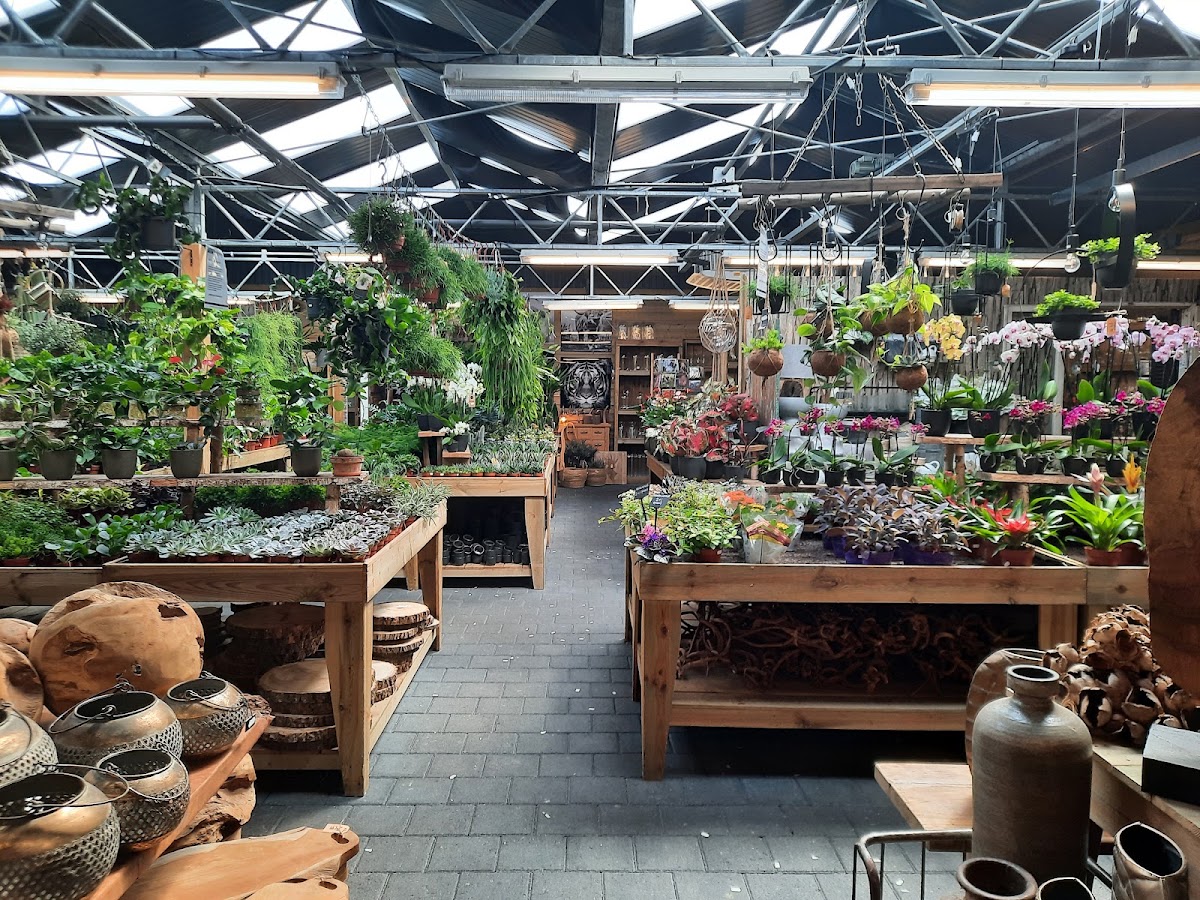 Foto van Hilbrands Bloemen & Wonen in Westerbork