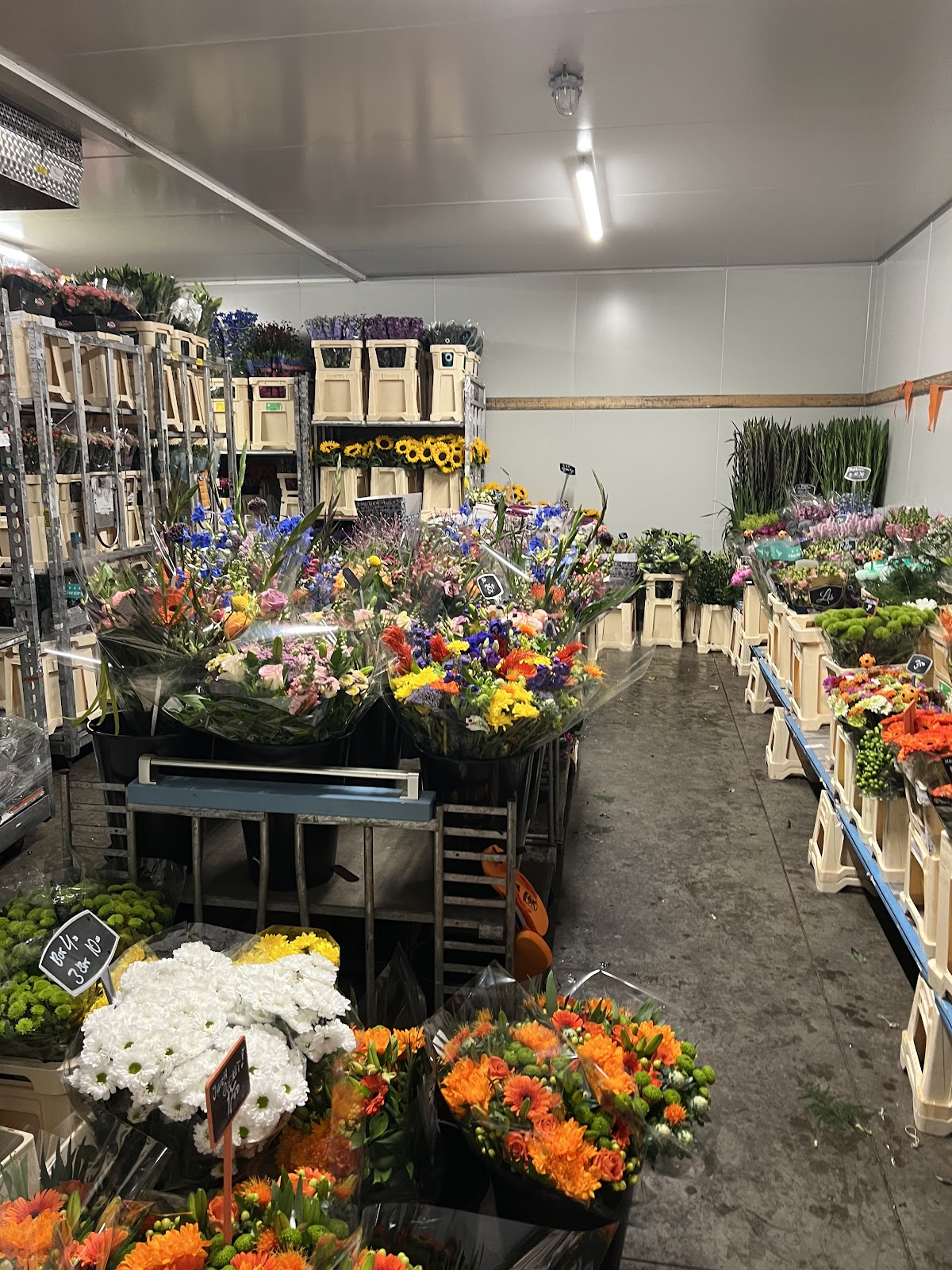 Foto van De Gier Bloemen in Zuidwolde