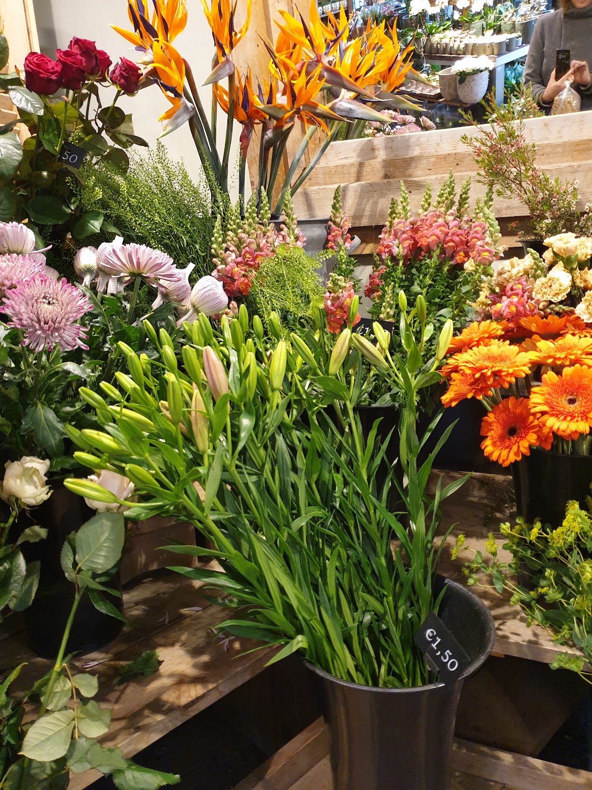 Foto van Mega Flora in Assen