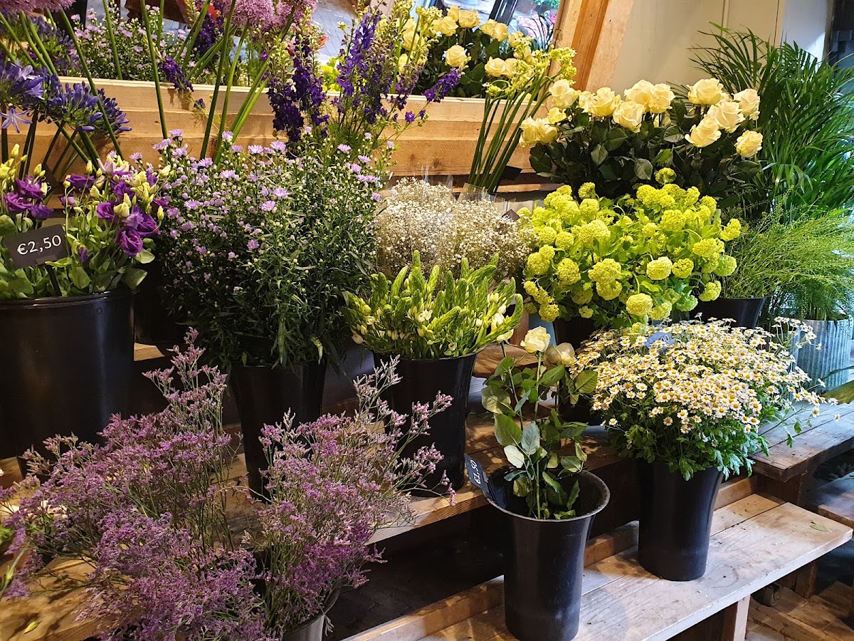 Foto van Mega Flora in Assen