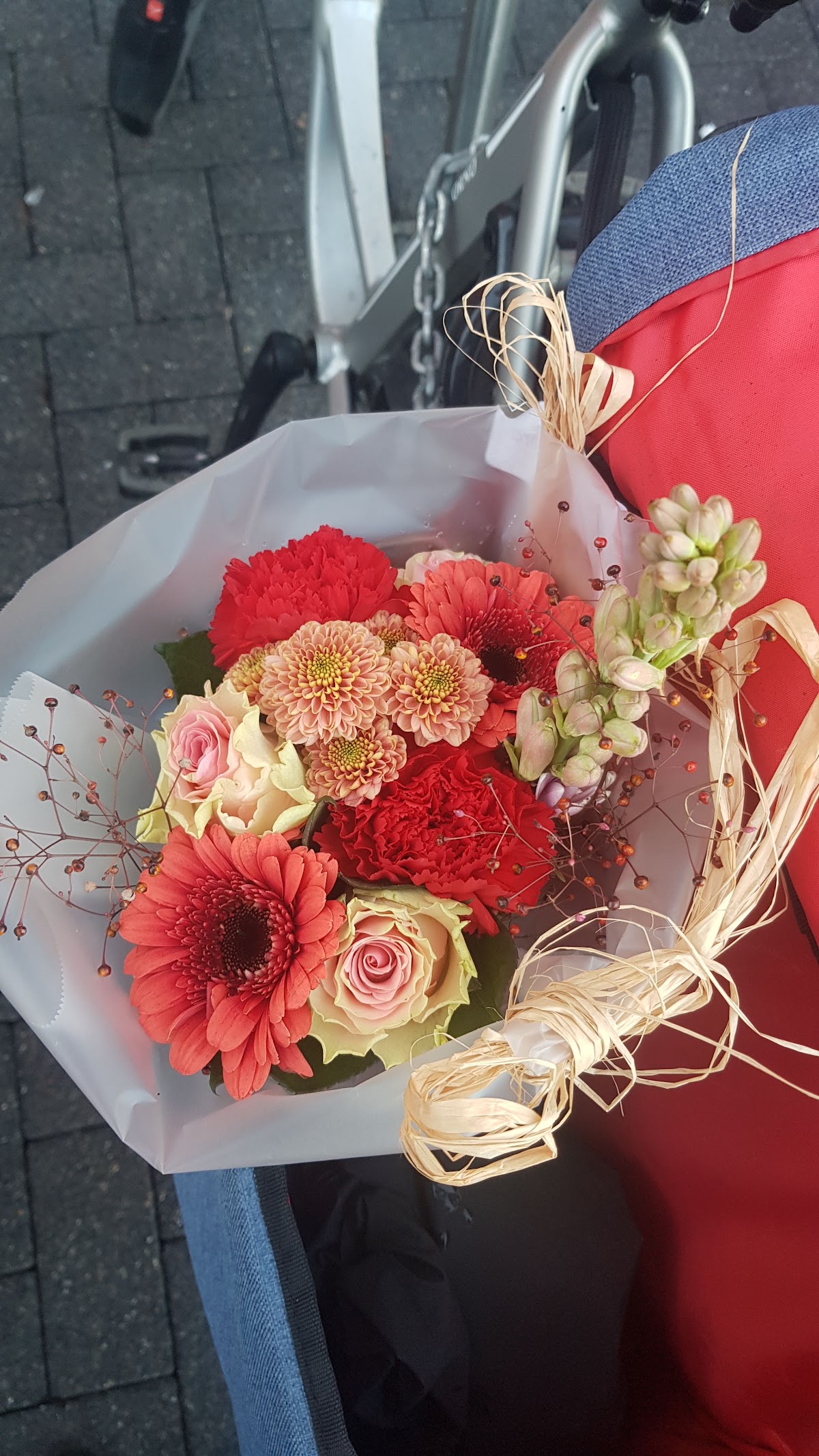 Foto van Mega Flora in Assen