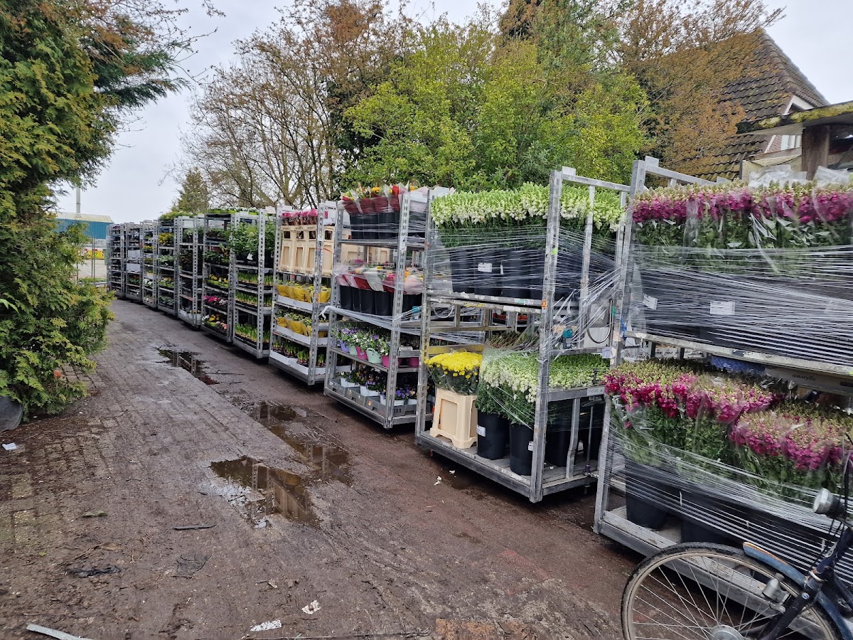 Foto van R. Brandse in Almere