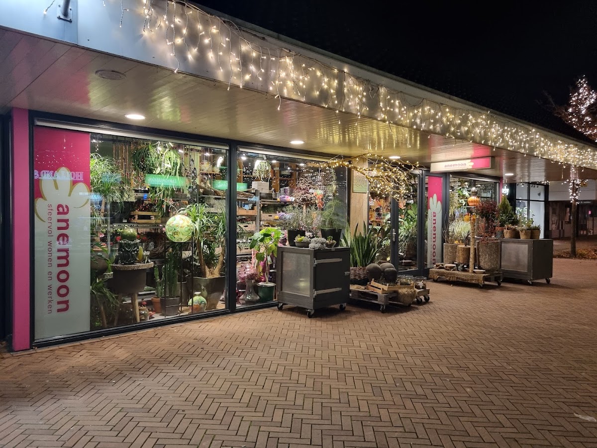 Foto van Anemoon in Dronten
