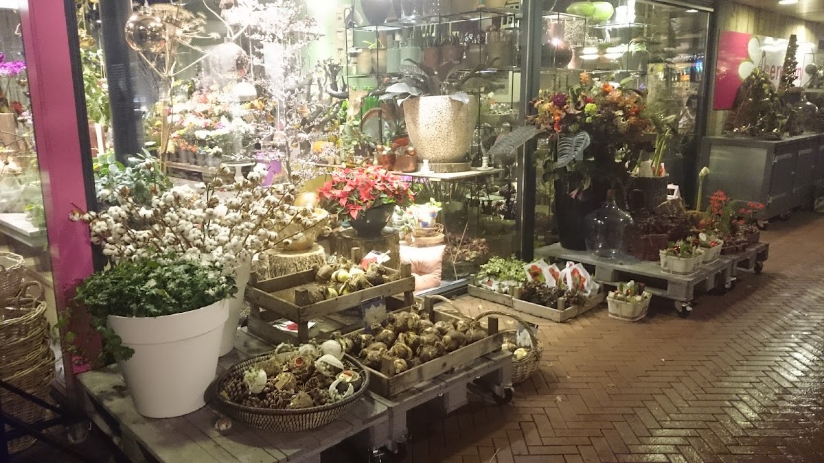Foto van Anemoon in Dronten