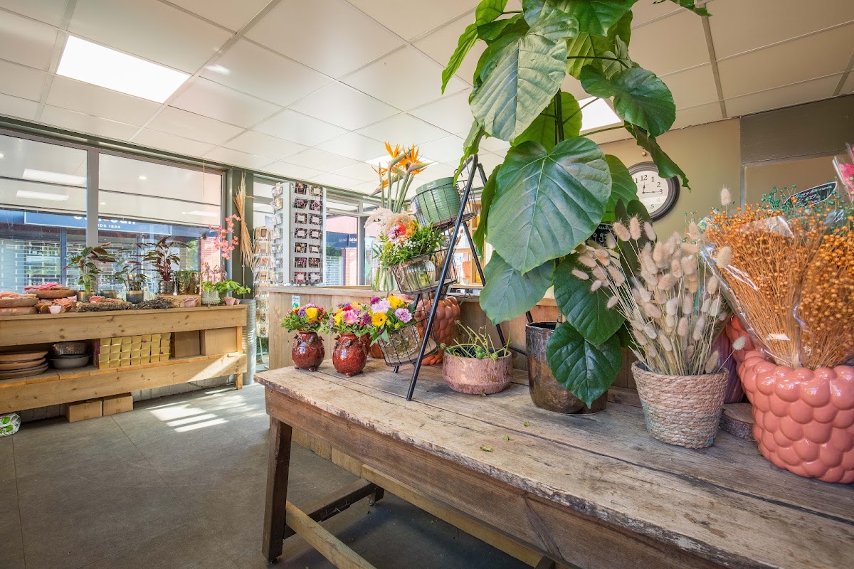 Foto van Elise's bloemen in Almere