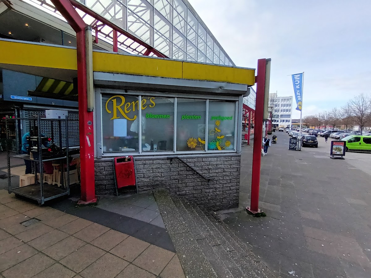 Foto van Rene's bloemen en planten in Lelystad