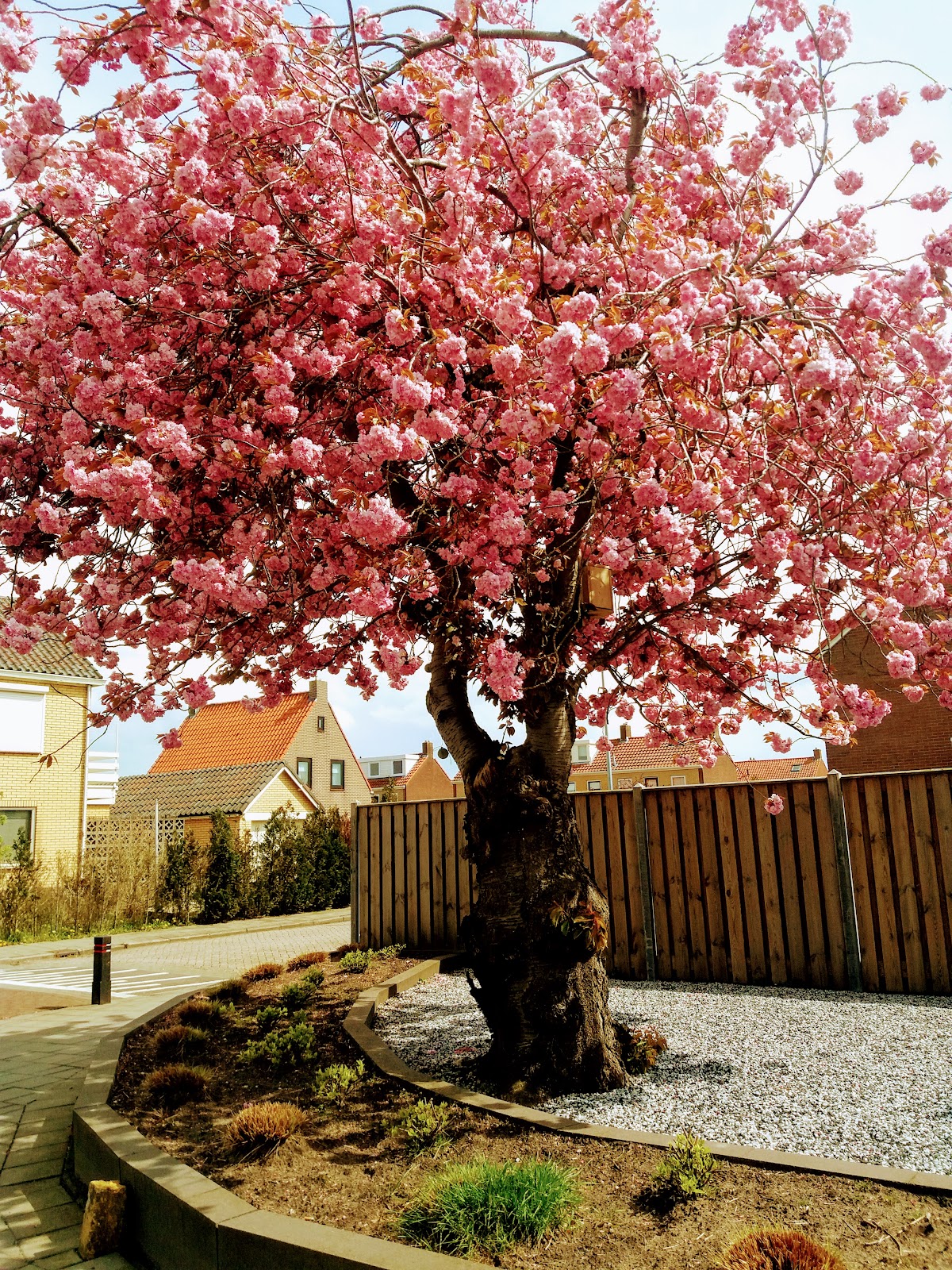 Foto van 't Karrewiel Bloemen in Urk
