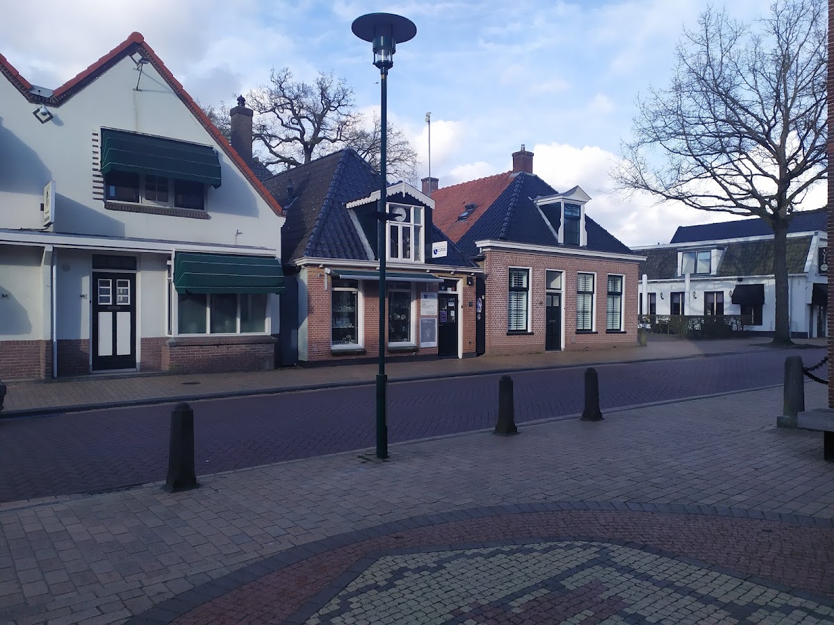 Foto van Bloemisterij Koolhaas vof in Beetsterzwaag