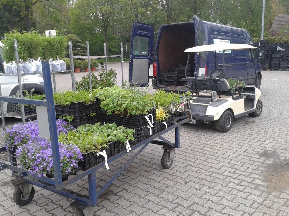 Foto van Tuincentrum J.P. Scheltinga in Blesdijke