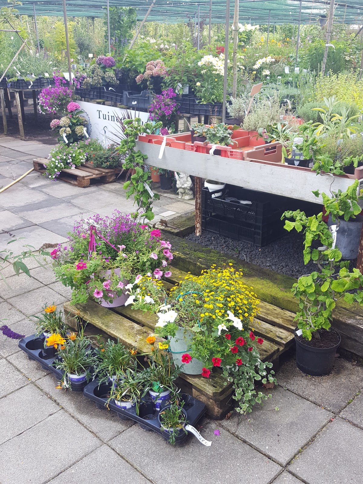 Foto van Tuincentrum J.P. Scheltinga in Blesdijke