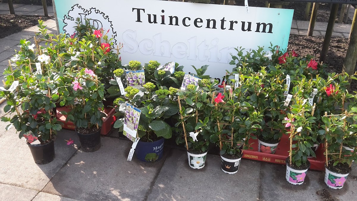 Foto van Tuincentrum J.P. Scheltinga in Blesdijke