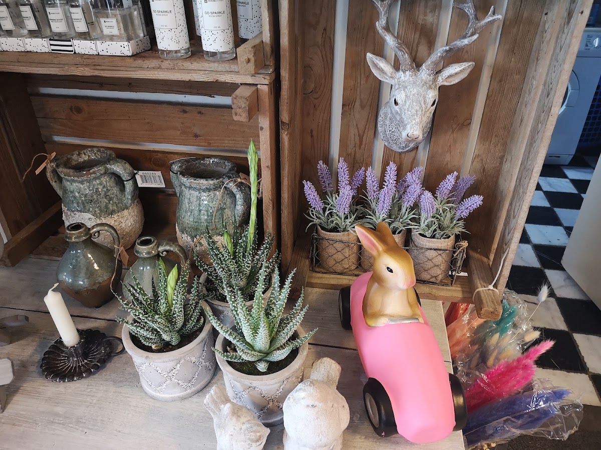 Foto van Bloemen Doorn Roosje in Burdaard