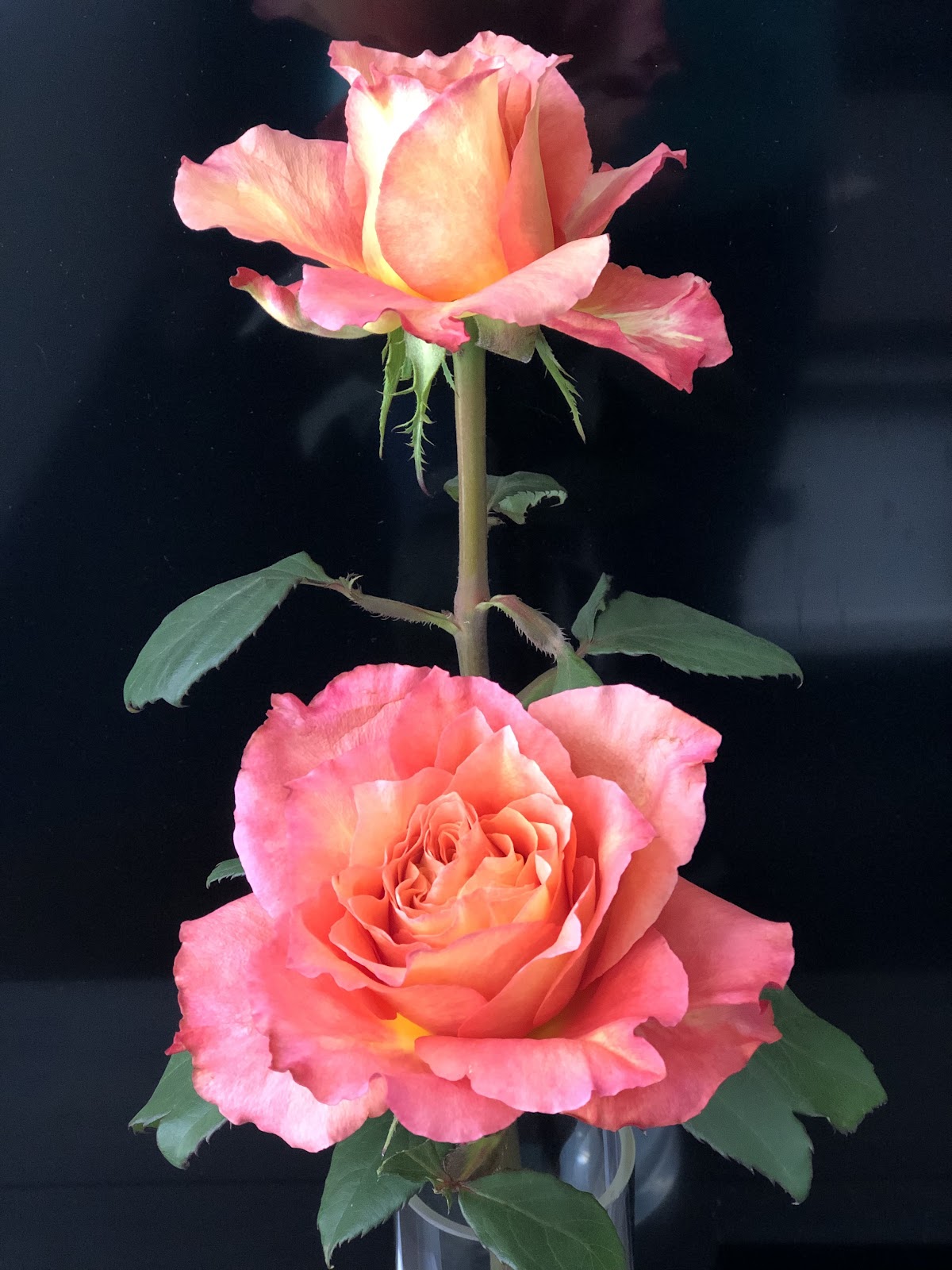 Foto van Bloemsierkunst De Lelie in Amsterdam