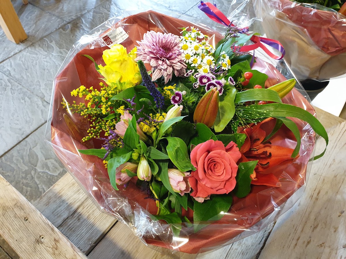 Foto van Bloemisterij Hogedijken in Dokkum