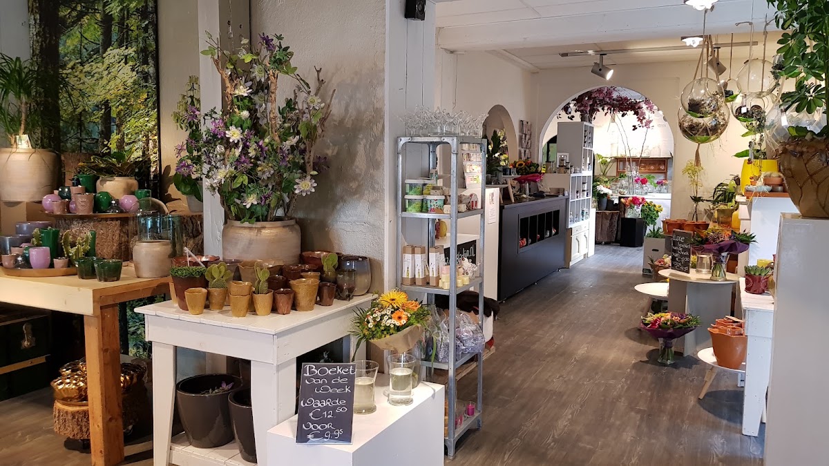 Foto van De Paladijn in Drachten