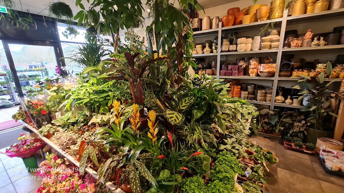 Foto van Superflora Drachten De Drait in Drachten