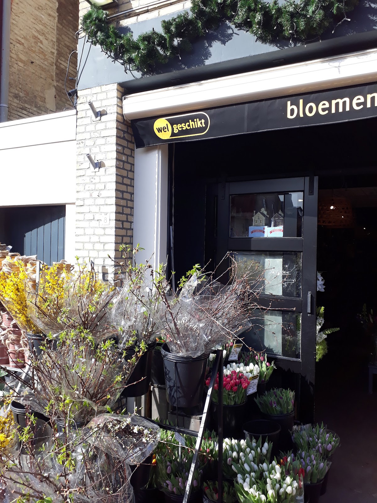 Foto van Welgeschikt Bloemen- en cadeaushop in Franeker
