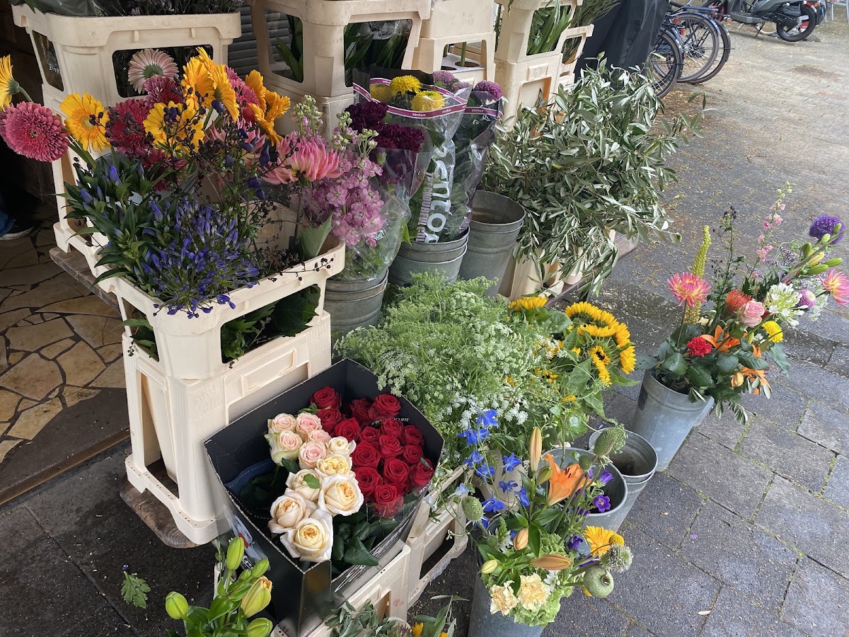 Foto van Bloemenkiosk Terra Tera in Hilversum