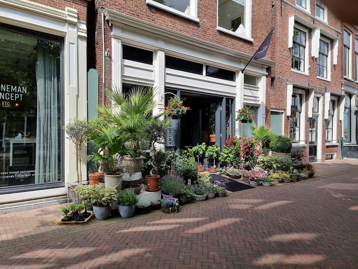 Foto van Bloemkunstenaar Anton Roos in Harlingen