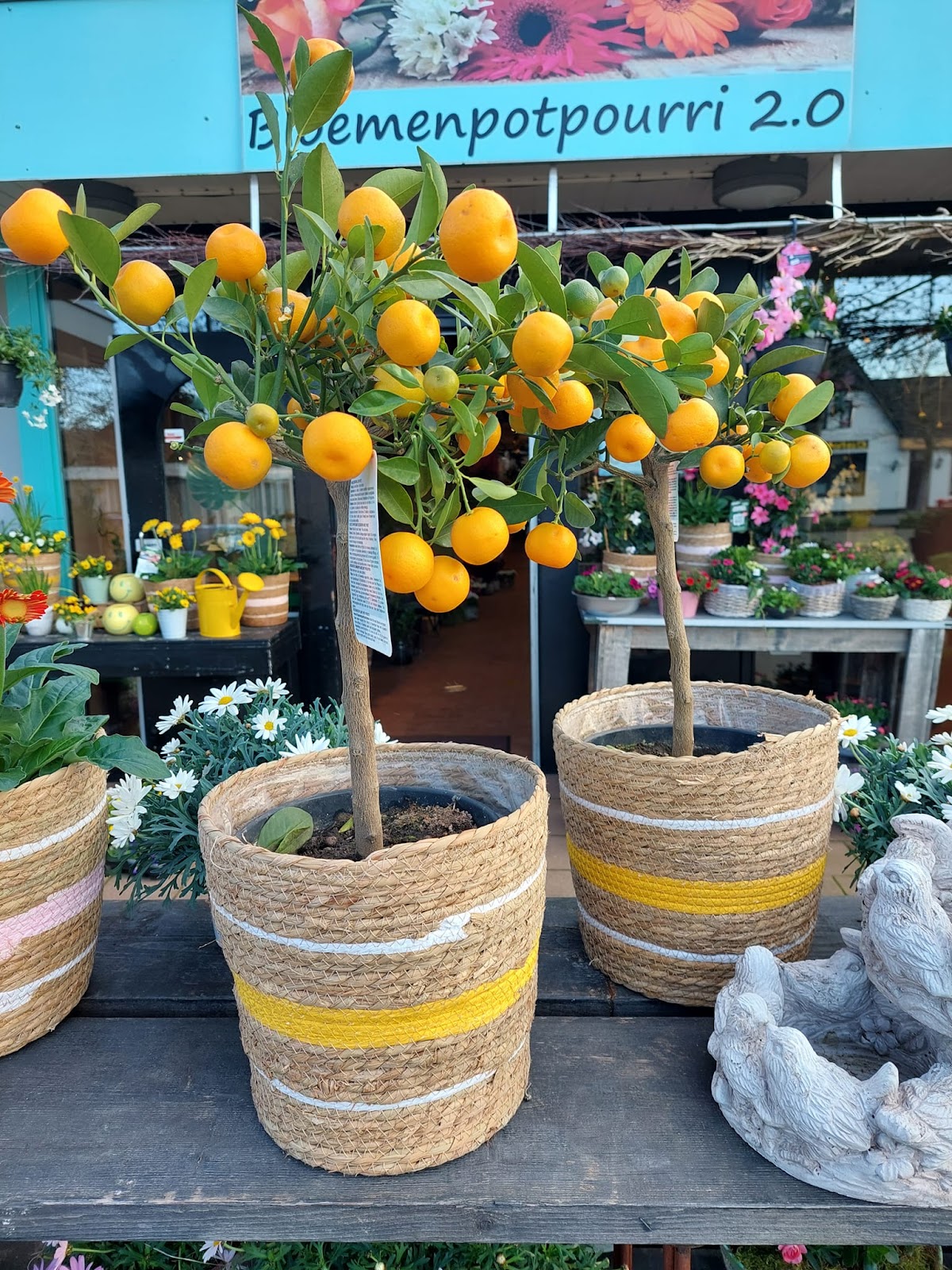 Foto van Bloemenpotpourri 2.0 in Haulerwijk