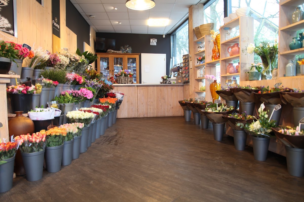Foto van Bloeming voor Yau in Obdam