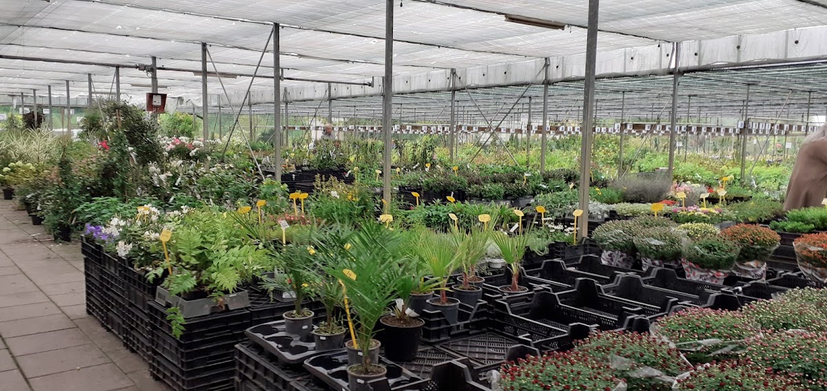 Foto van Tuincentrum Wiebe Wesstra in Haulerwijk