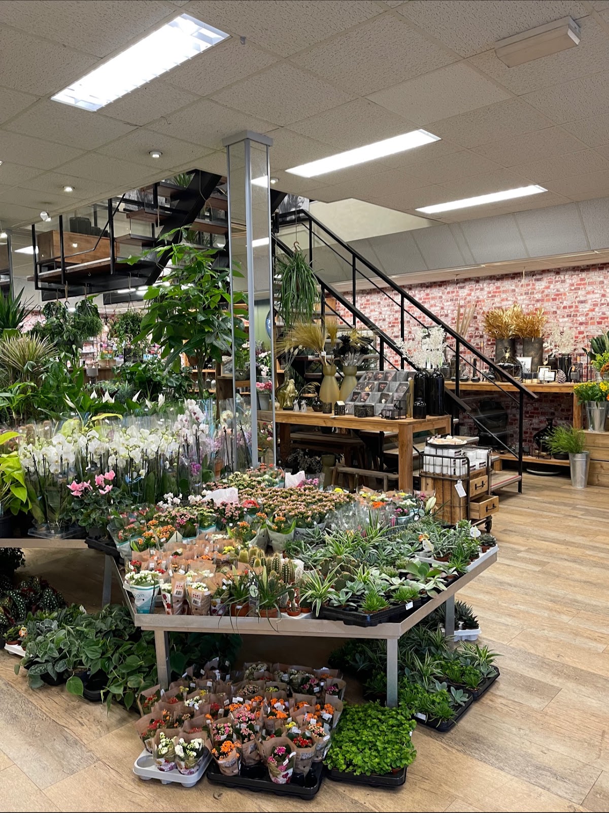 Foto van Schrage Bloemen en Kadoshop in Coevorden