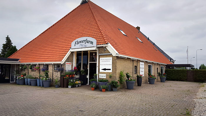 Remco Volbeda Flowerfarm