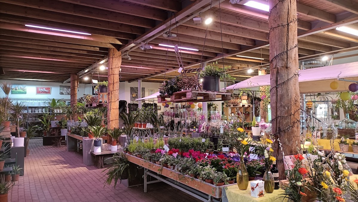 Foto van Remco Volbeda Flowerfarm in Heerenveen
