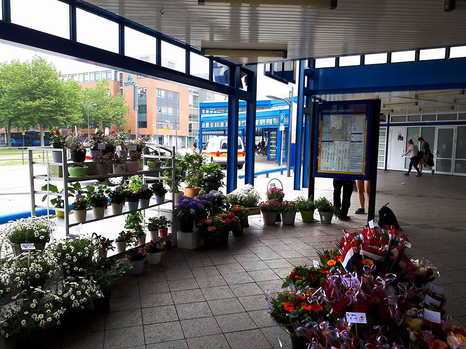 Foto van Remco Volbeda Flowerfarm in Heerenveen