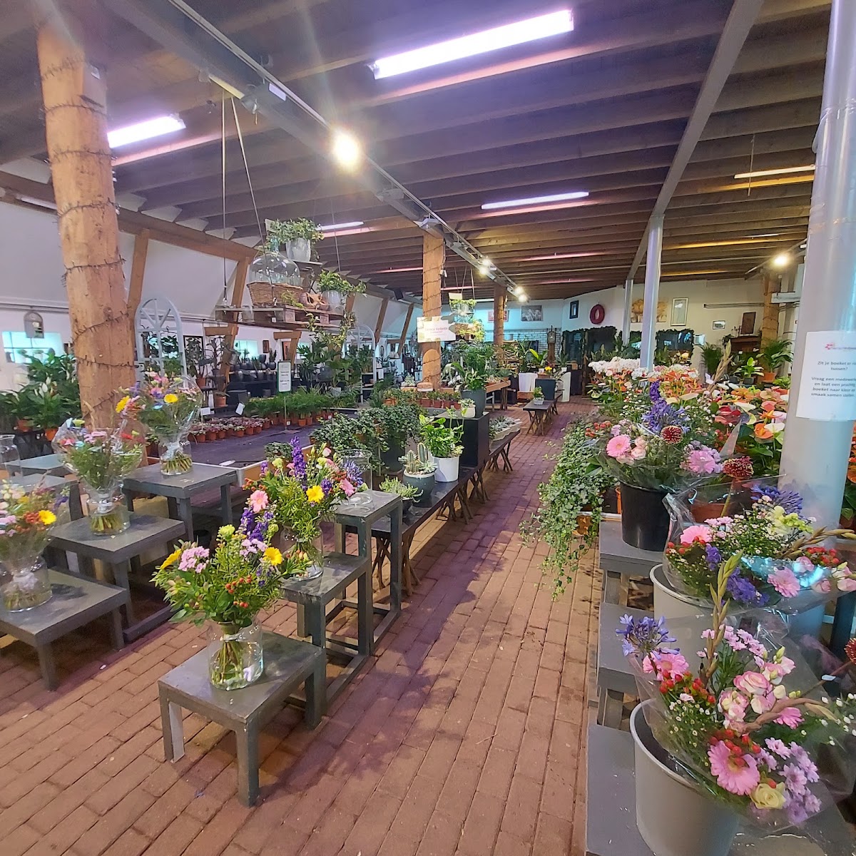 Foto van Remco Volbeda Flowerfarm in Heerenveen