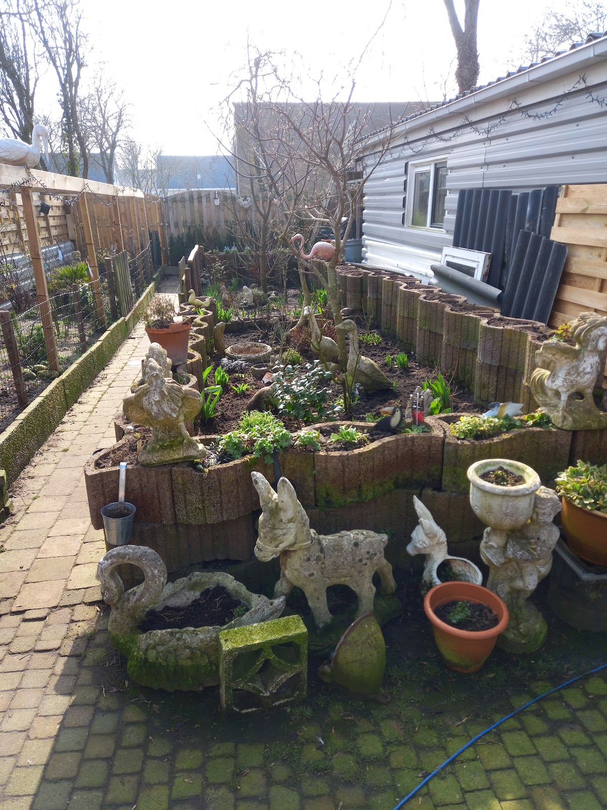 Van Kammen Tuinplanten
