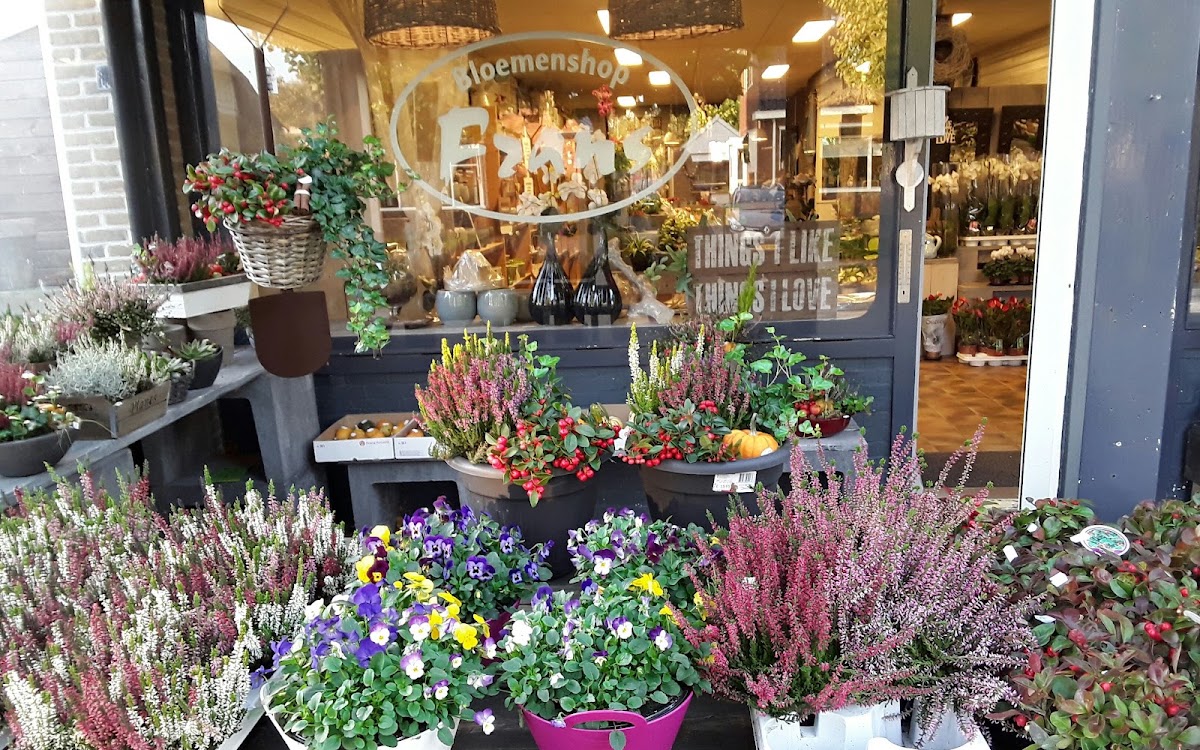 Foto van Frans Bloemen en Kadoshop in Hurdegaryp