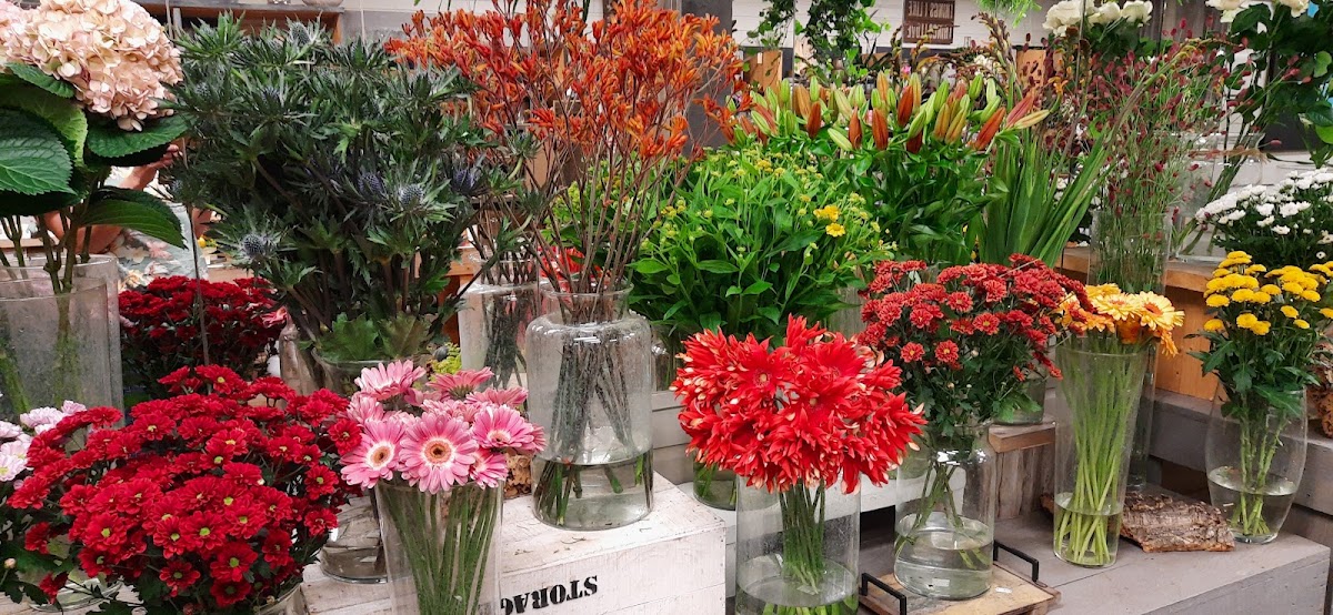 Foto van Frans Bloemen en Kadoshop in Hurdegaryp