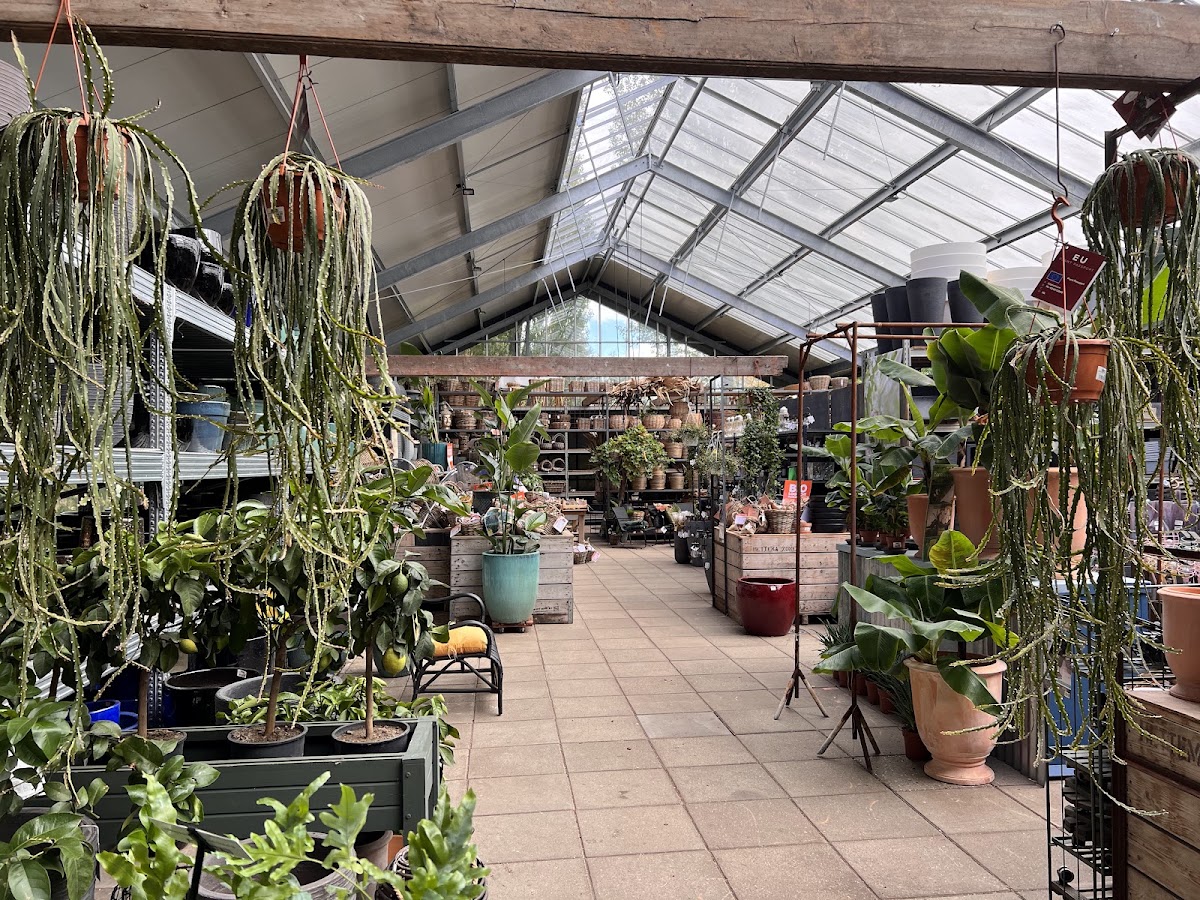 Foto van Tuincentrum De Florahoek in Hurdegaryp