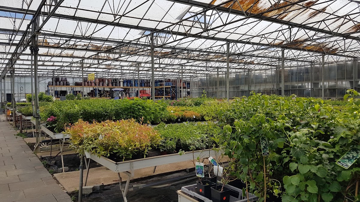 Foto van Tuincentrum Bontebok V.O.F. in Jonkersland