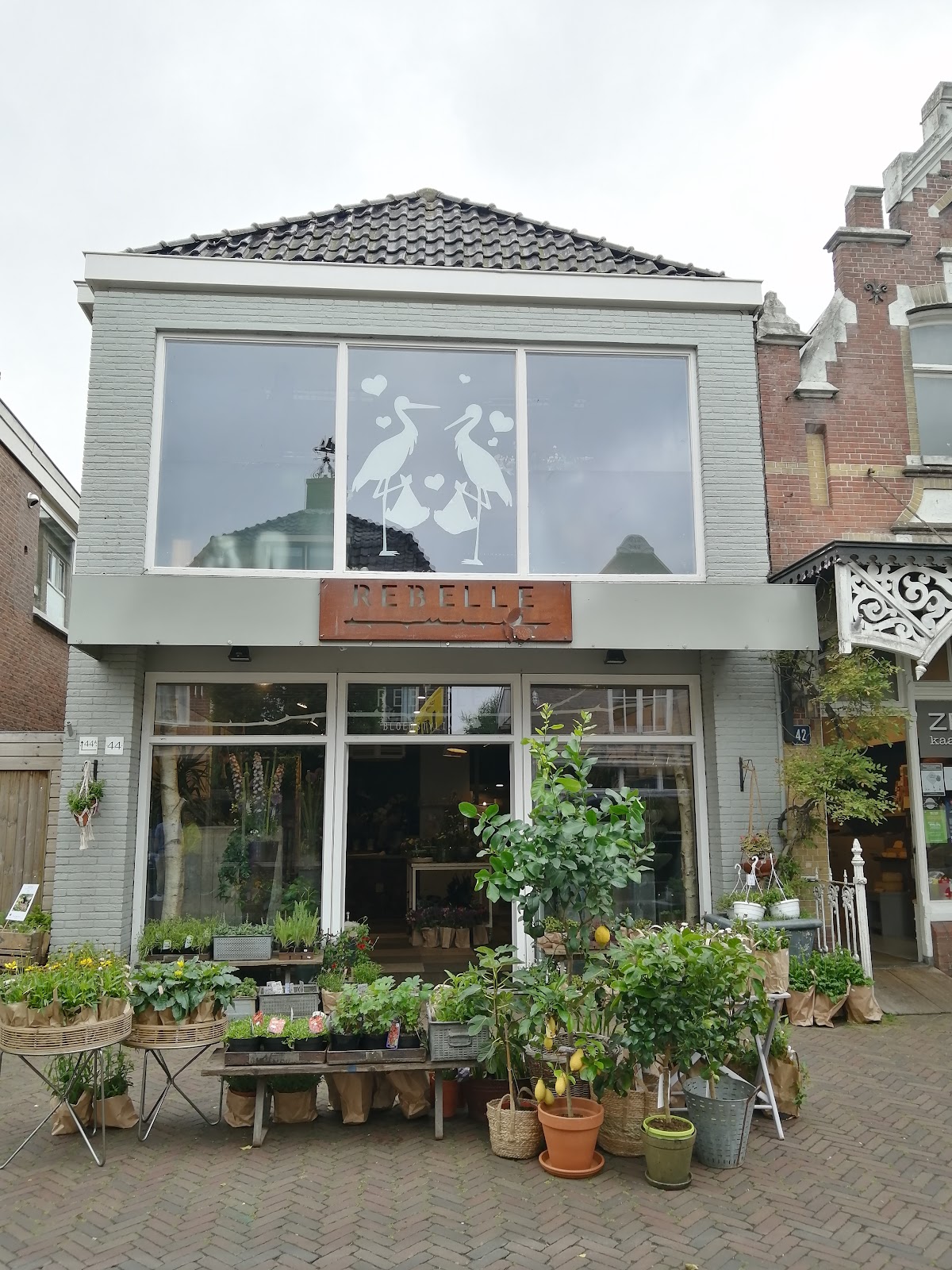 Foto van Rebelle Bloemstyling in Joure