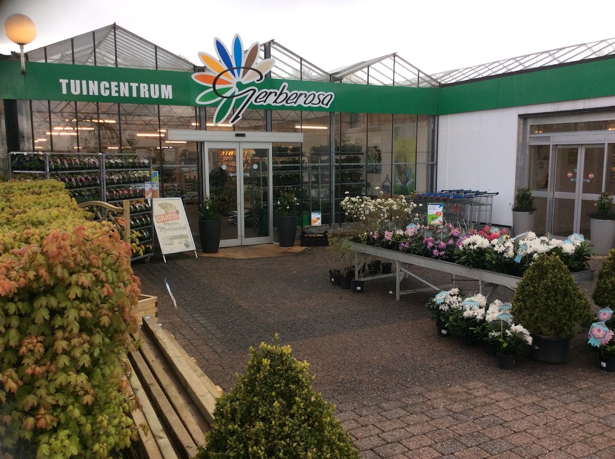 Foto van Tuincentrum Gerberosa in Joure
