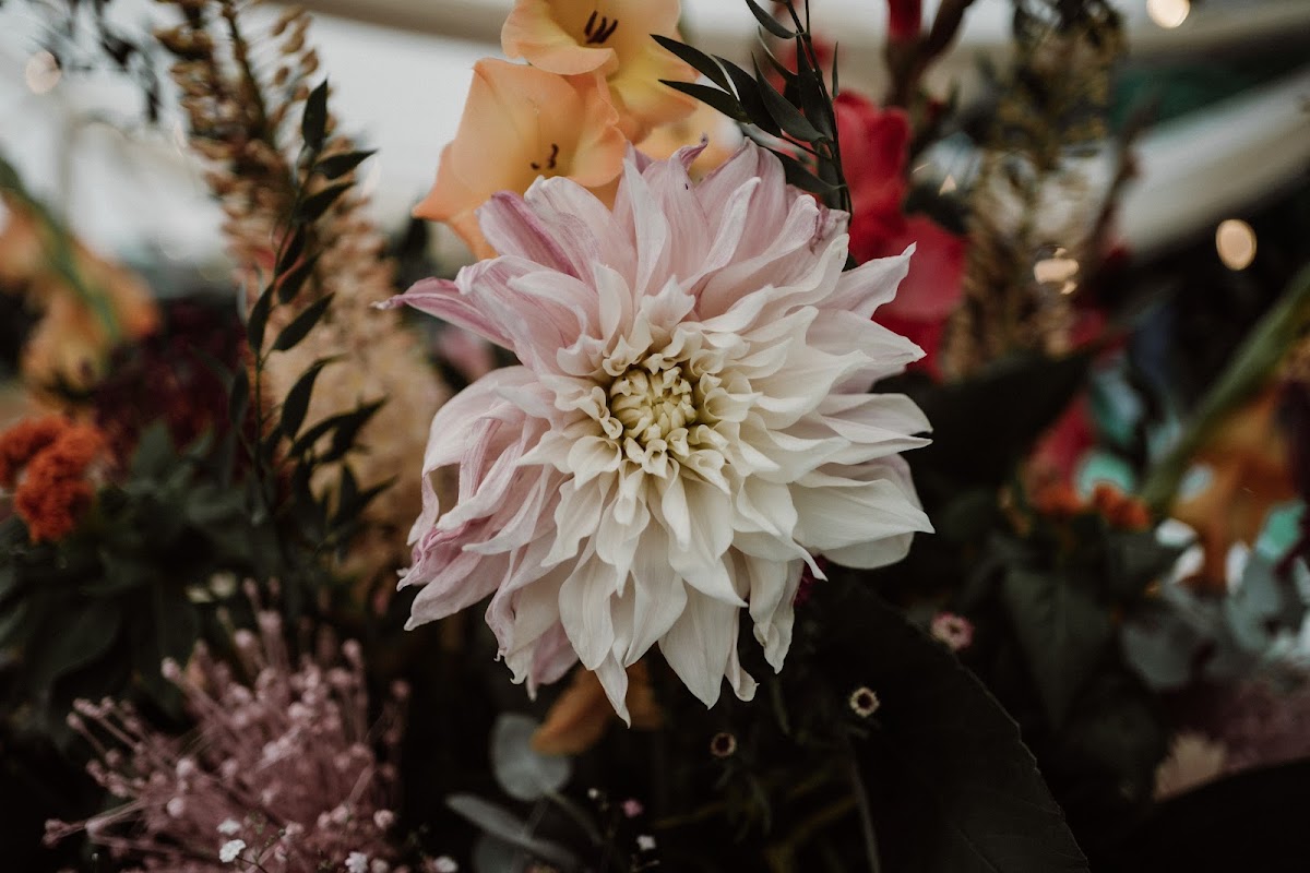 Foto van Bloemstyliste Jarina in De Wijk