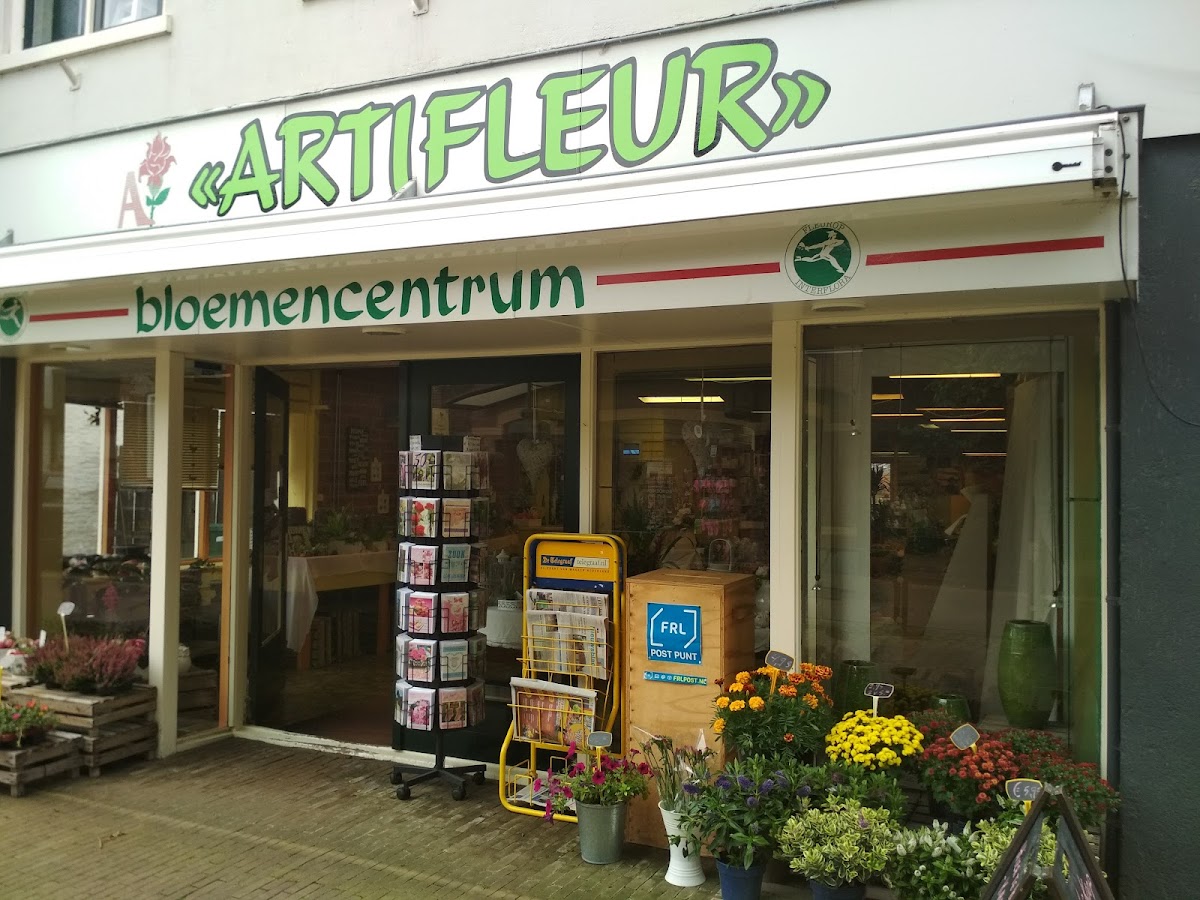 Foto van Artifleur in Kollum