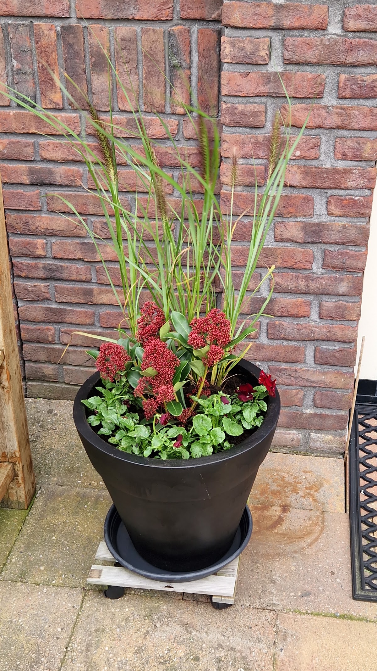 Foto van Tuincentrum in Kootstertille