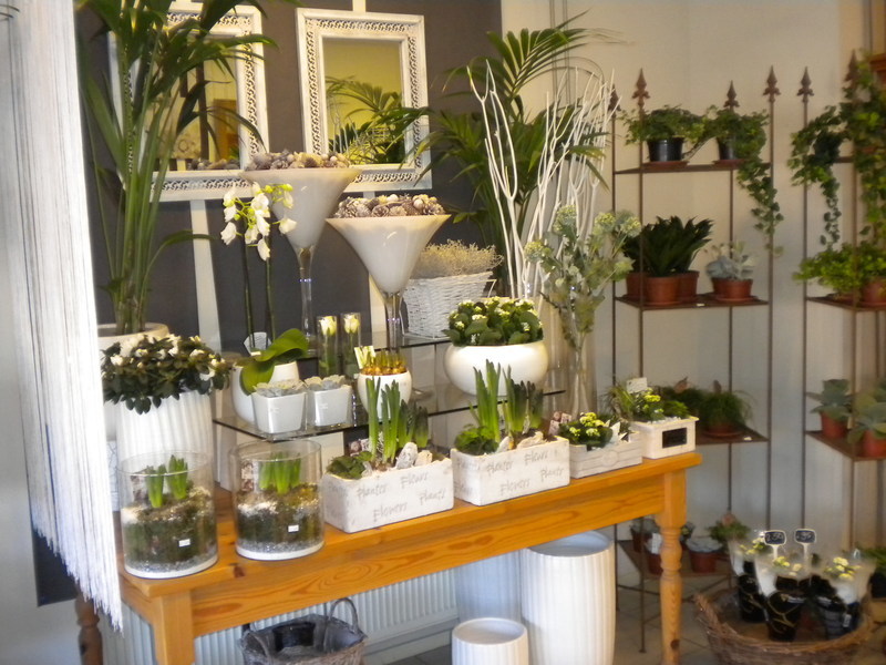Foto van Bloembinderij Acanthus in Leeuwarden