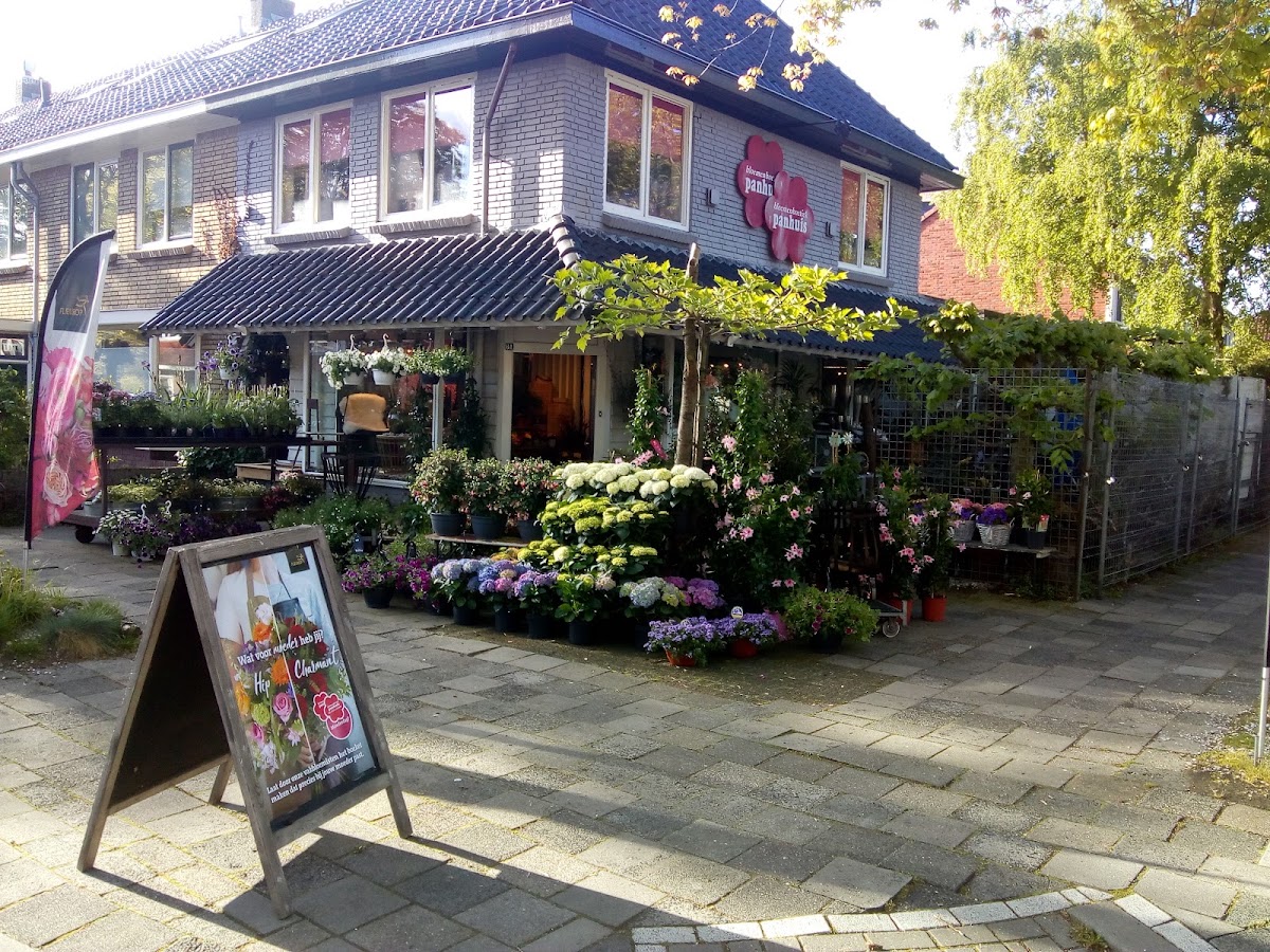 Foto van Bloemenboetiek Panhuis.eu in Leeuwarden