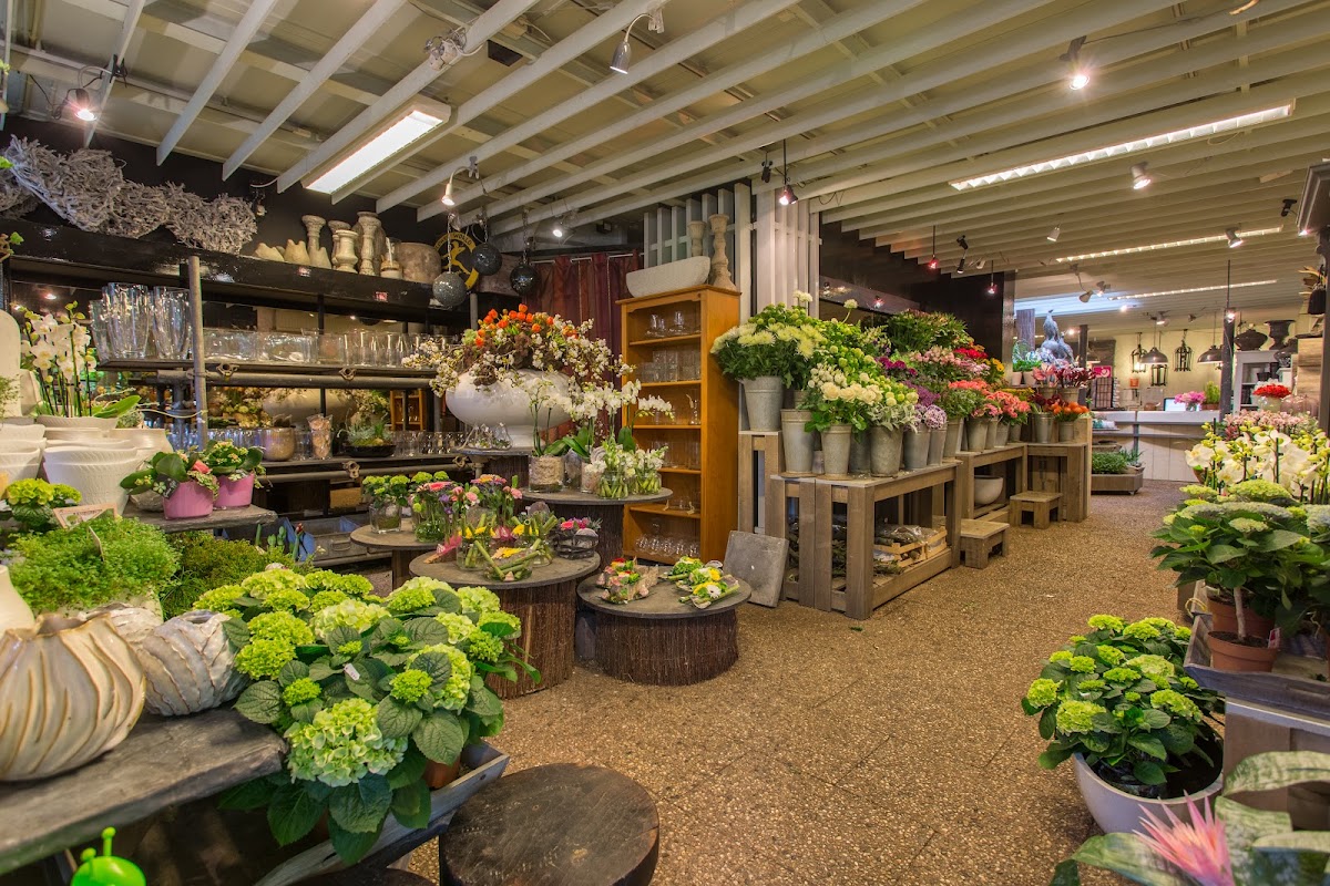 Foto van Bloemenboetiek Panhuis.eu in Leeuwarden