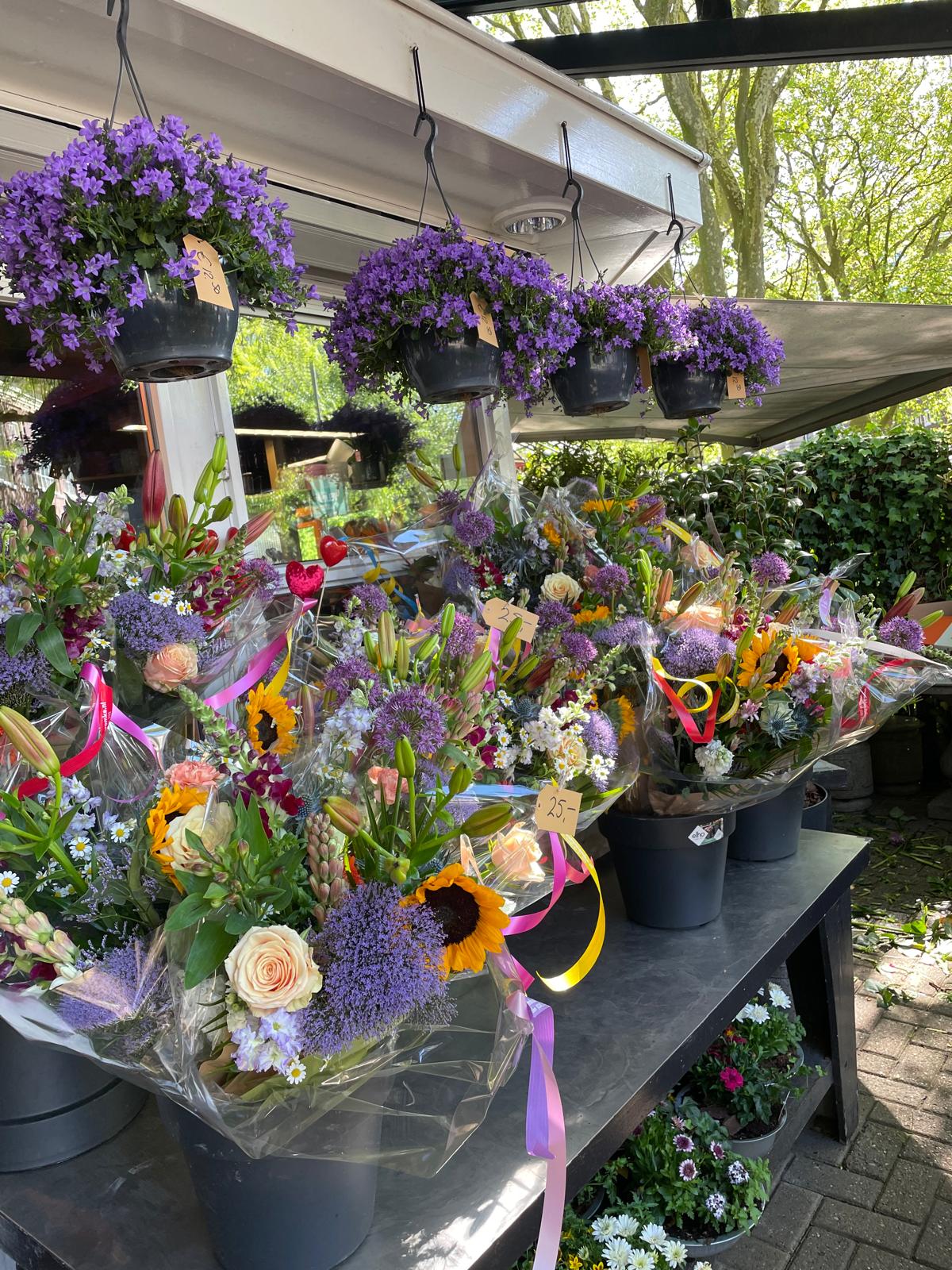 Foto van Blomke fan Romke in Leeuwarden