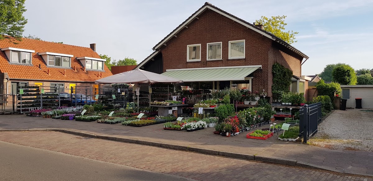 Foto van Bloembinderij de kelk in Achterveld
