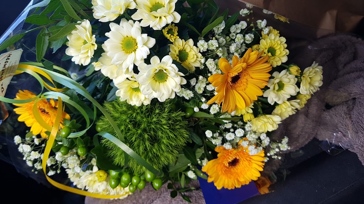 De Anemoon camminghaburen