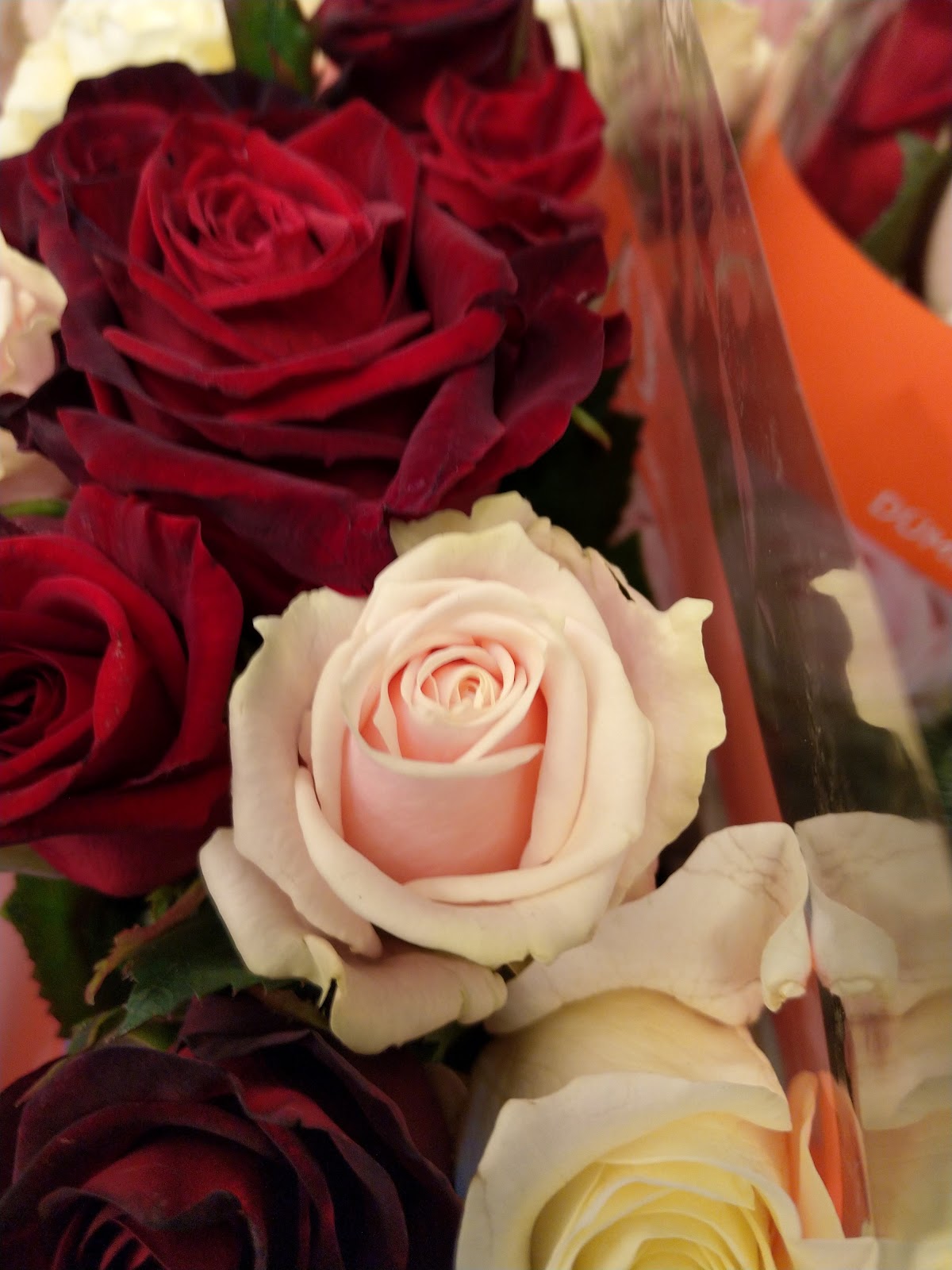 Foto van De Graaf Bloemen in Leeuwarden