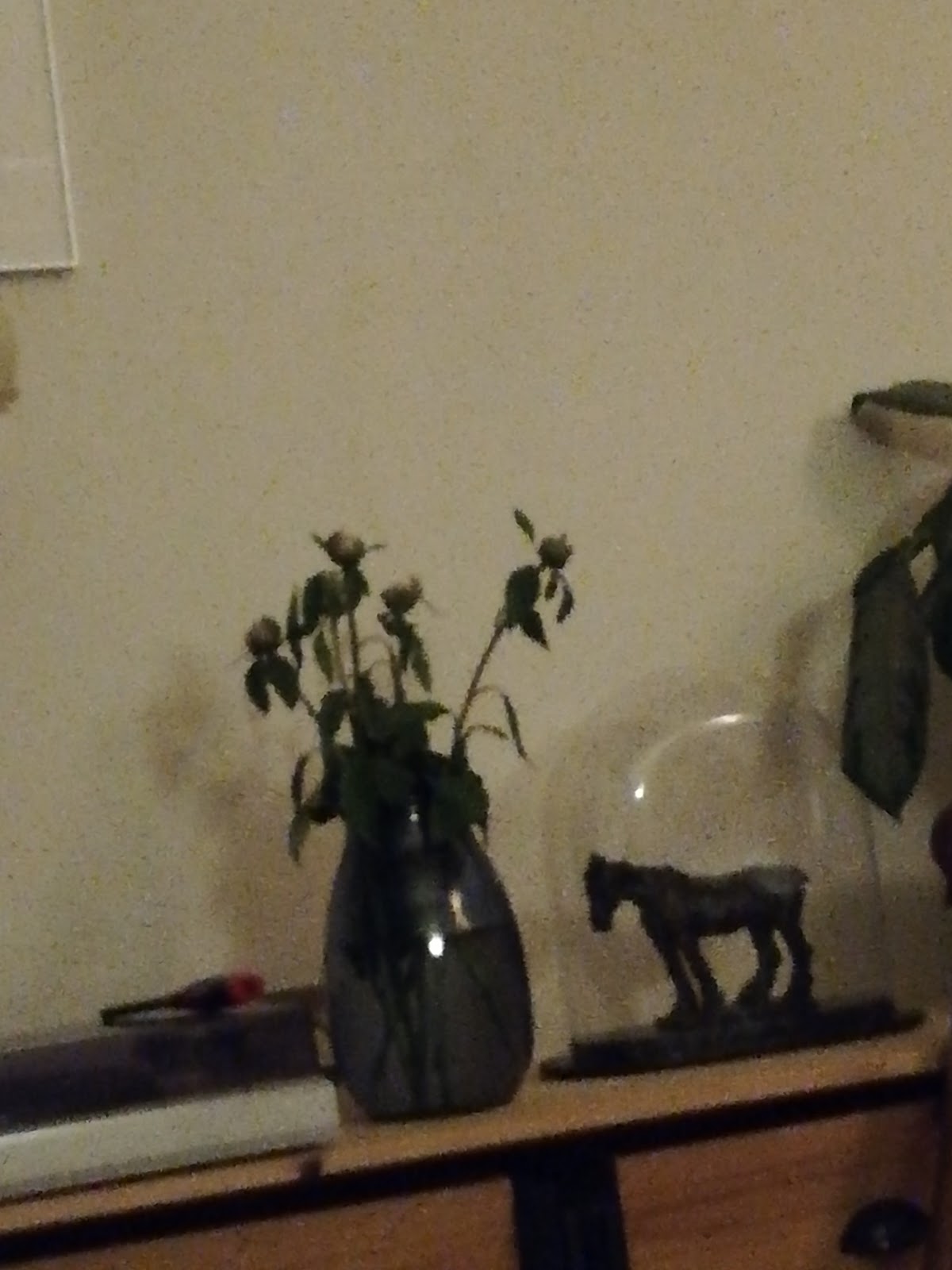 Foto van Bloemenhuis Hofman in Diever